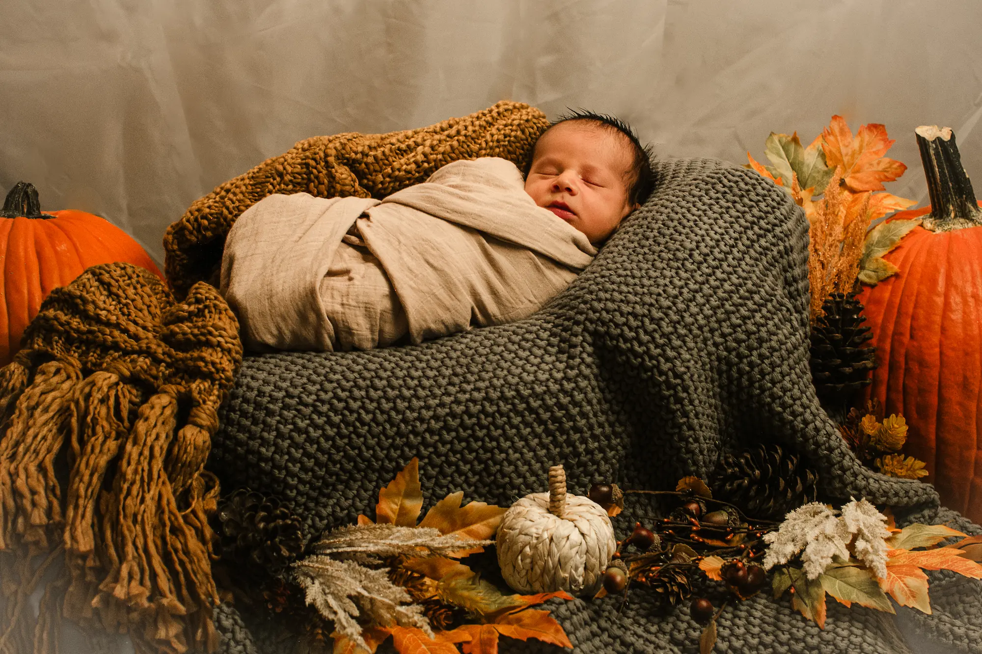 Newborn Session